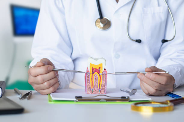 Best Broken or Cracked Tooth Emergency Dentist in Canton, MO